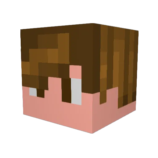 SKY_IQ Minecraft avatar head, 3D render
