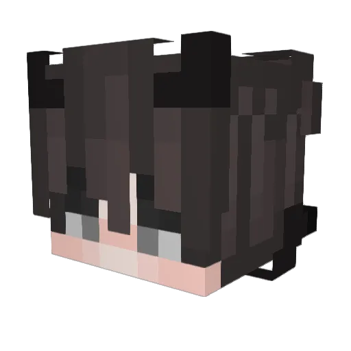 SKY_LLJ Minecraft avatar head, 3D render