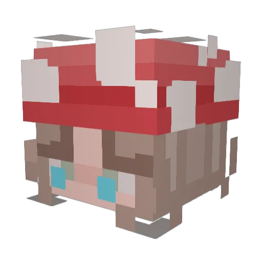SKYisFALLING54 Minecraft avatar head, 3D render