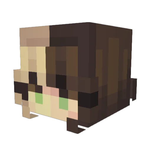 SKZ_Gemini Minecraft avatar head, 3D render