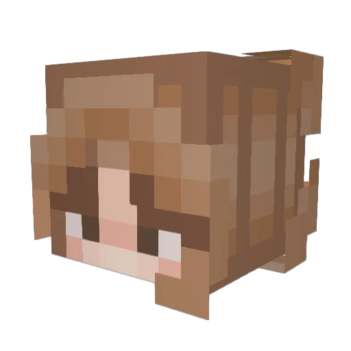 SKZ_Stay17 Minecraft avatar head, 3D render