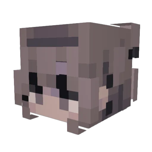 SK_CyberNova Minecraft avatar head, 3D render