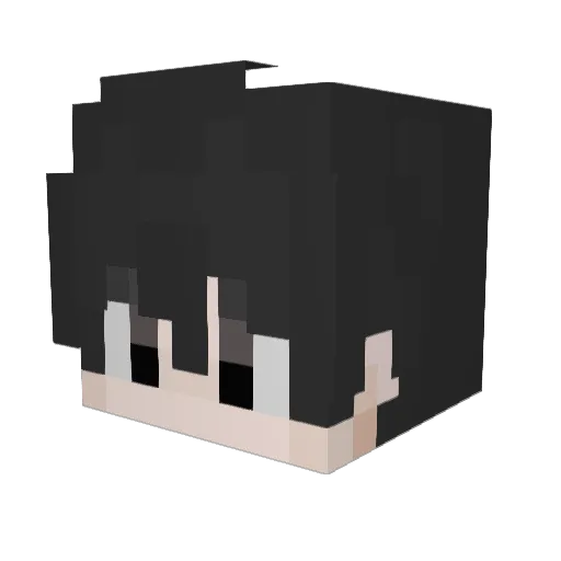 SKeletGerrraca67 Minecraft avatar head, 3D render