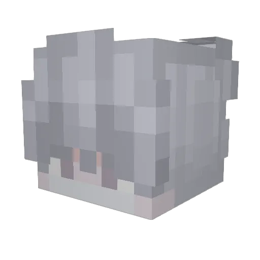 SKoMonster Minecraft avatar head, 3D render