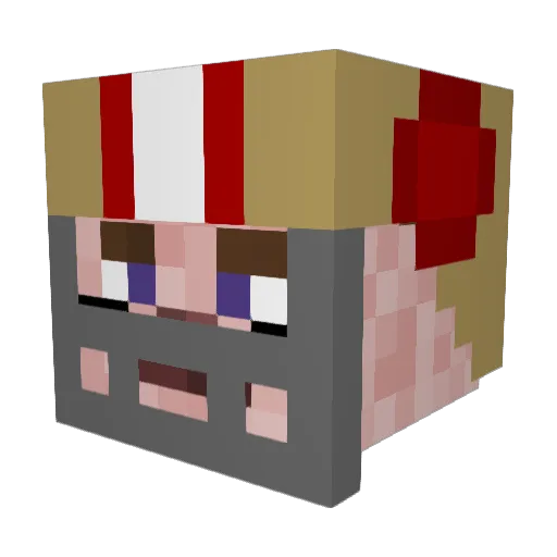 SLACKTARN Minecraft avatar head, 3D render
