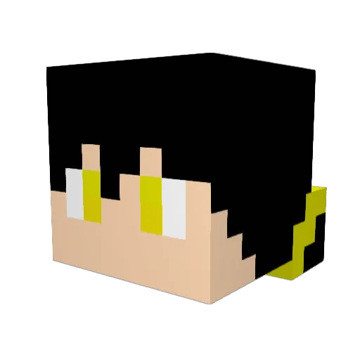 SLAYR1203 Minecraft avatar head, 3D render