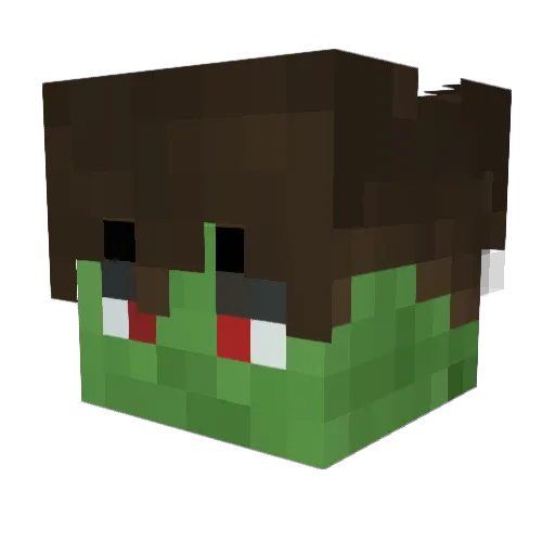 Minecraft-Avatar von SLB_Jason: Kopf als 3D-Render