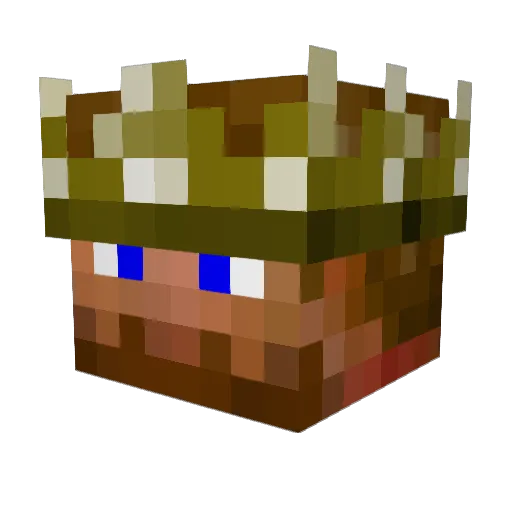 SLEC8 Minecraft avatar head, 3D render