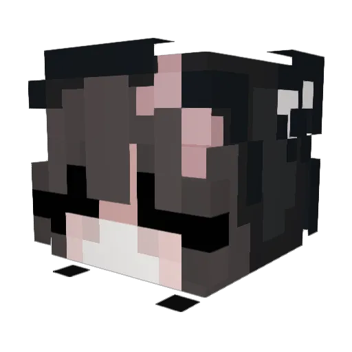 SLEEPYAVIS Minecraft avatar head, 3D render