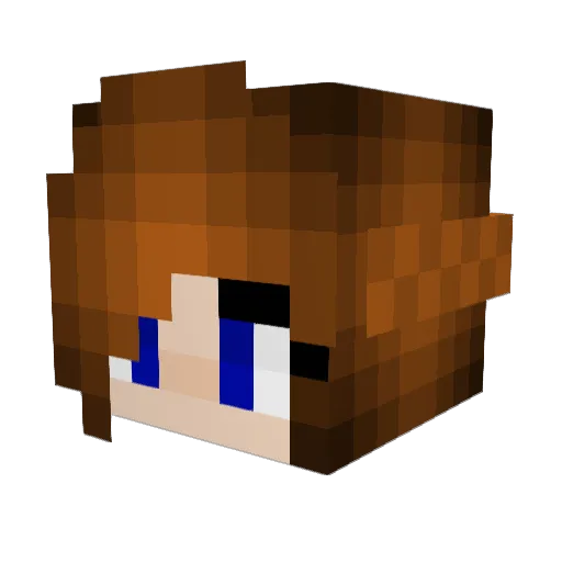 SLEEPYRAYRAY Minecraft avatar head, 3D render