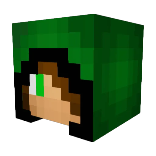 SLEMAN316 Minecraft avatar head, 3D render