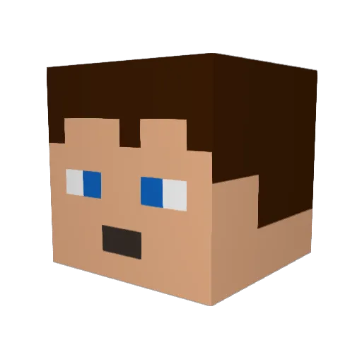 SLE_E_P_Y Minecraft avatar head, 3D render
