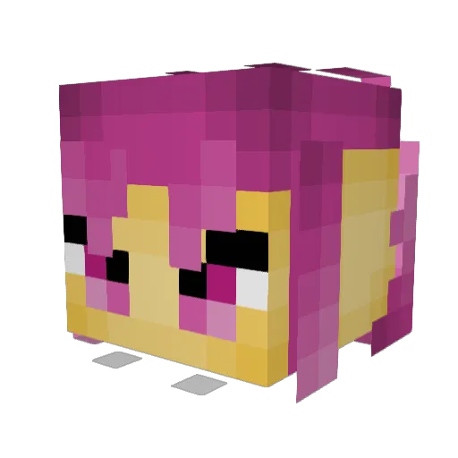SLIPKNOTSOADTUFF Minecraft avatar head, 3D render