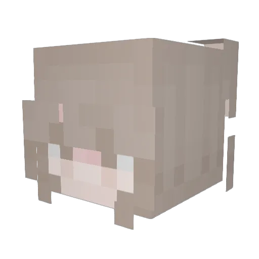 SLOWnSHU Minecraft avatar head, 3D render
