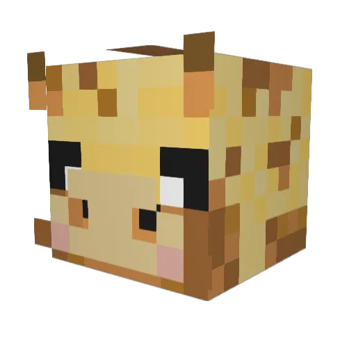 SLW_123 Minecraft avatar head, 3D render