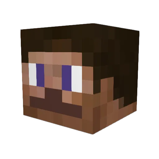 SLX_Chapter Minecraft avatar head, 3D render