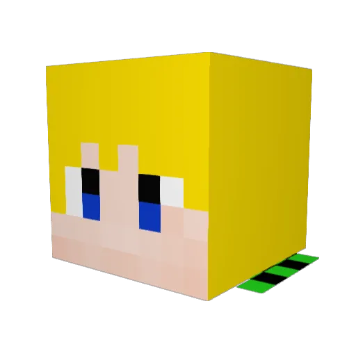SLYDOG1111 Minecraft avatar head, 3D render