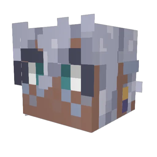 SLayer161 Minecraft avatar head, 3D render