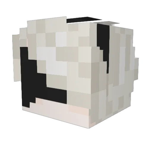 SLiN_53 Minecraft avatar head, 3D render