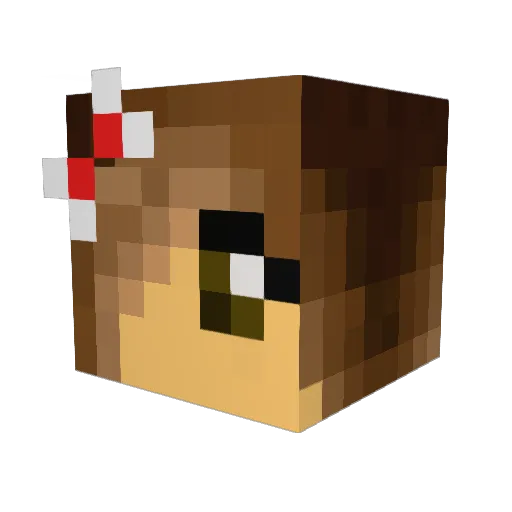 SLneva Minecraft avatar head, 3D render