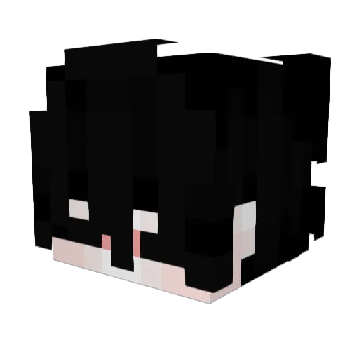 SLnmduj Minecraft avatar head, 3D render