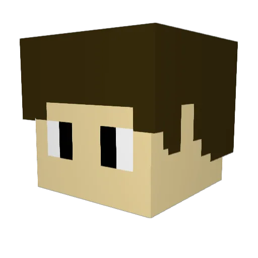SMB2 Minecraft avatar head, 3D render