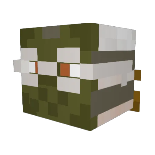 SMELLAT0R Minecraft avatar head, 3D render