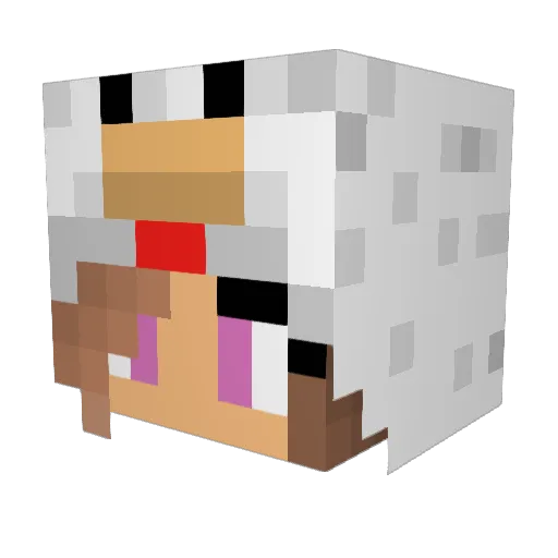 SMT_Quinn Minecraft avatar head, 3D render
