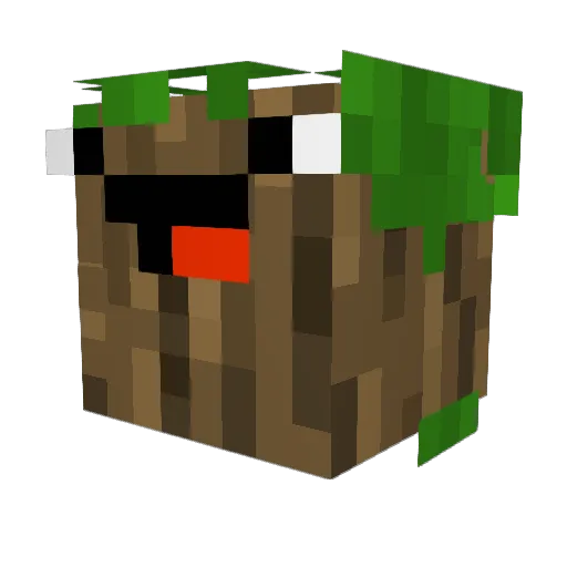 SN0P1iTOPTOPTOP Minecraft avatar head, 3D render