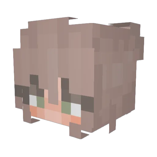 SN0WYT Minecraft avatar head, 3D render