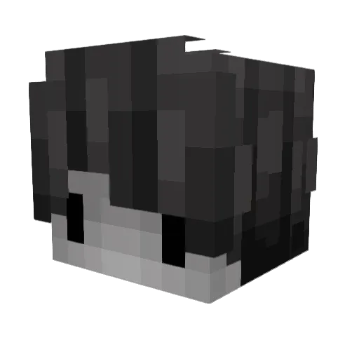 SN0W____ Minecraft avatar head, 3D render