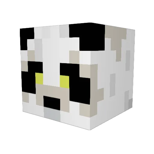 SN0Wowl Minecraft avatar head, 3D render