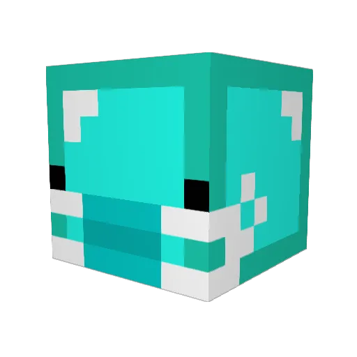 SNAPASAP Minecraft avatar head, 3D render