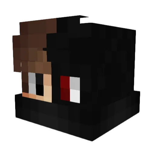 SNEFAN12 Minecraft avatar head, 3D render
