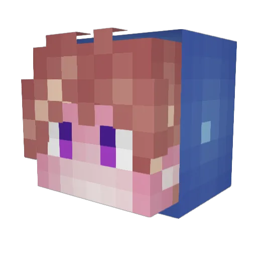 SNEIDG Minecraft avatar head, 3D render