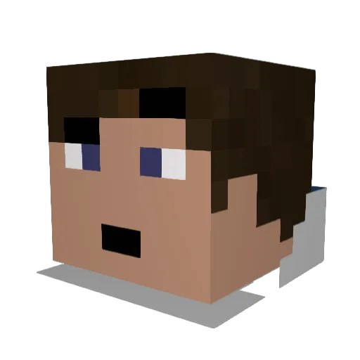 SNFLK Minecraft avatar head, 3D render