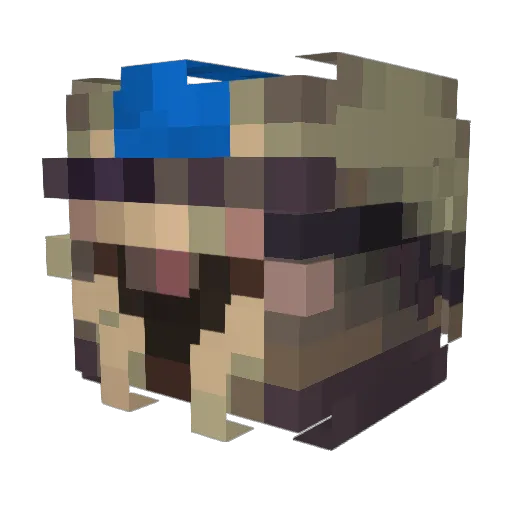 SNIFFY4309 Minecraft avatar head, 3D render