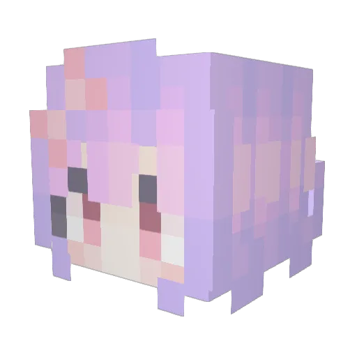 SNIPER_CNGO20 Minecraft avatar head, 3D render