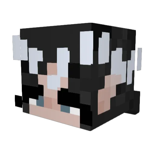 SNOW198524 Minecraft avatar head, 3D render