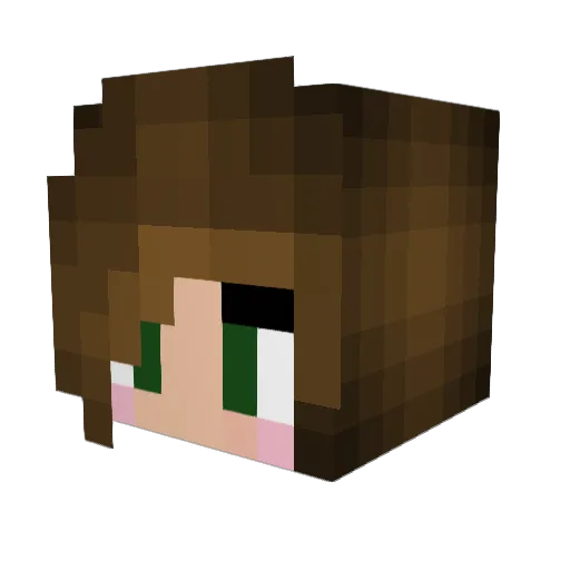 SNOWKITTENS Minecraft avatar head, 3D render