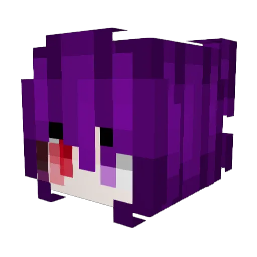 SNOW_TNT Minecraft avatar head, 3D render