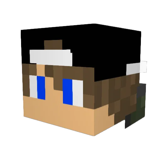 SNPAC_DOMINATOR Minecraft avatar head, 3D render