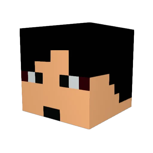 SNUPhysics Minecraft avatar head, 3D render