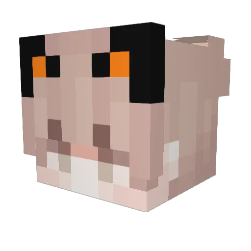 SN_You7 Minecraft avatar head, 3D render