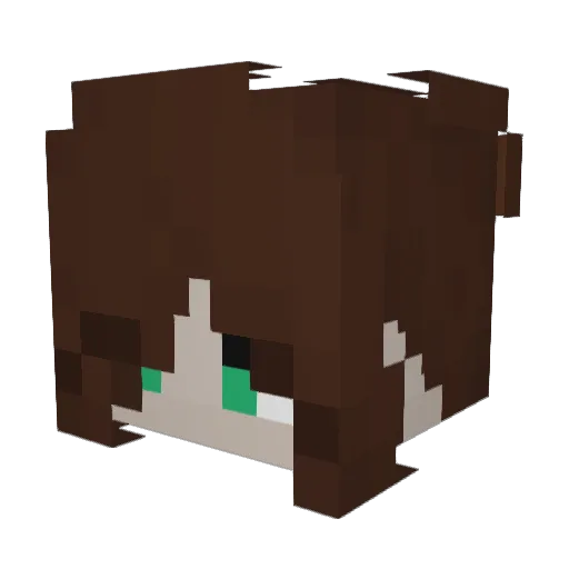 SNiNiToad Minecraft avatar head, 3D render