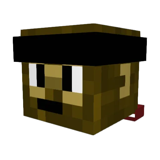 SO0TY Minecraft avatar head, 3D render