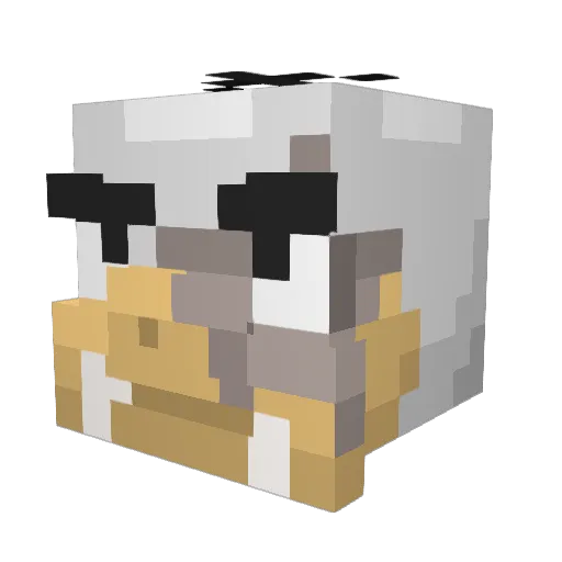 SOAKLE Minecraft avatar head, 3D render