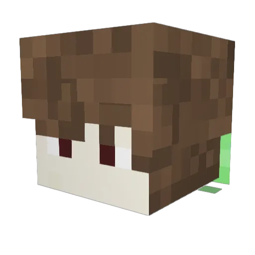 SOA_Reapz Minecraft avatar head, 3D render
