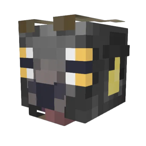 SOBBLE999 Minecraft avatar head, 3D render