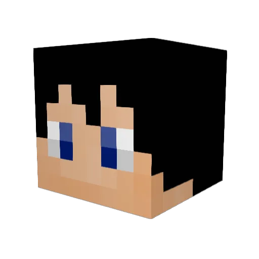 SOCCERLIFE Minecraft avatar head, 3D render